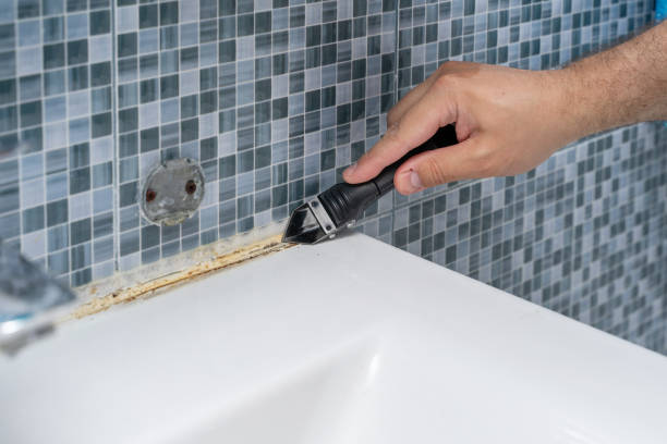 Best Toxic Mold Removal  in Hamilton, MT